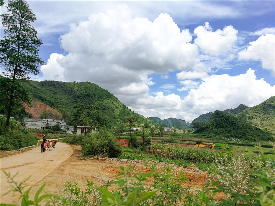 IM(股份有限公司)电竞-电子竞技平台