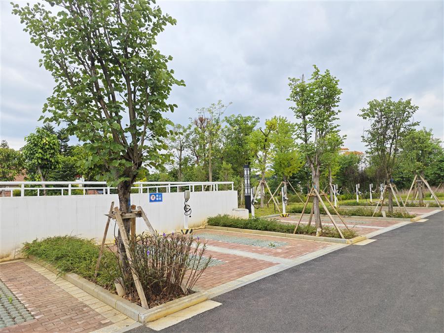 IM(股份有限公司)电竞-电子竞技平台