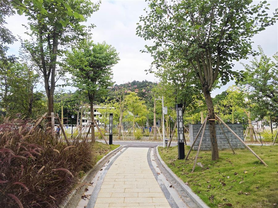 IM(股份有限公司)电竞-电子竞技平台