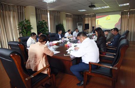 公司召开党委中心组（扩大）学习会议，，，，，，，， 集中学习贯彻党的十九大会议精神