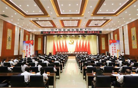 广西im电竞冶建第一次党代会胜利召开